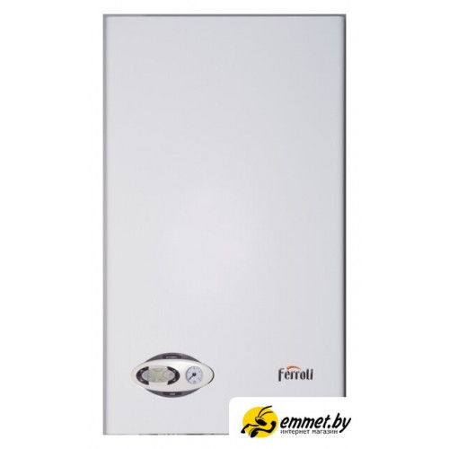 Отопительный котел Ferroli Divabel F24