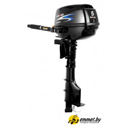Лодочный мотор Parsun F5 BMS
