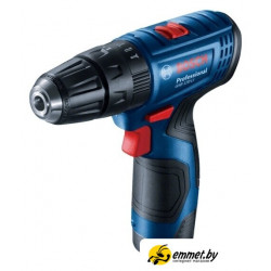 Ударная дрель-шуруповерт Bosch GSB 120-LI Professional 06019G8100 (с 2-мя АКБ, кейс)