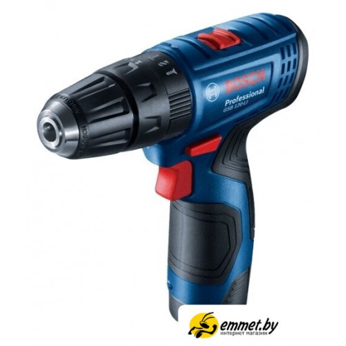 Ударная дрель-шуруповерт Bosch GSB 120-LI Professional 06019G8100 (с 2-мя АКБ, кейс)