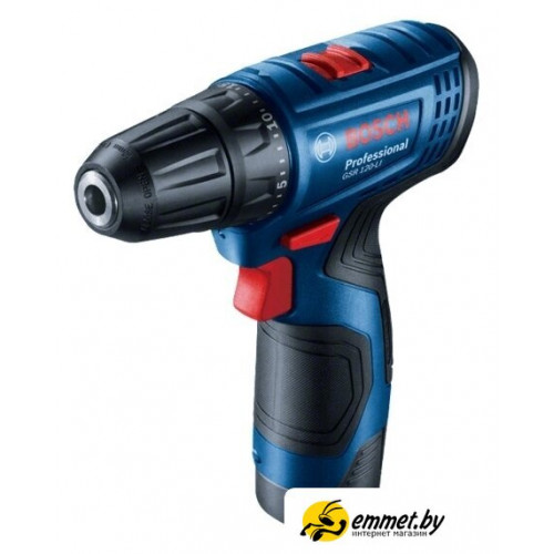 Дрель-шуруповерт Bosch GSR 120-LI Professional 06019G8020 (с 2-мя АКБ, кейс)