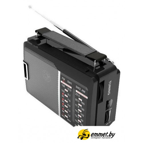 Радиоприемник Ritmix RPR-190