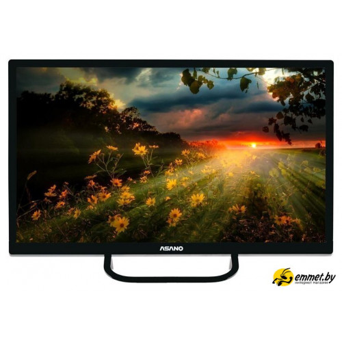 Телевизор ASANO 24LH1110T