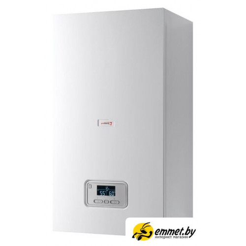 Отопительный котел Protherm Ray (Скат) 9 KE /14 0010023647