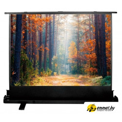 Проекционный экран CACTUS FloorExpert 120x160 CS-PSFLE-160X120