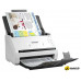 Сканер Epson WorkForce DS-530II