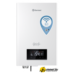 Отопительный котел Thermex Grizzly 5-12 Wi-Fi