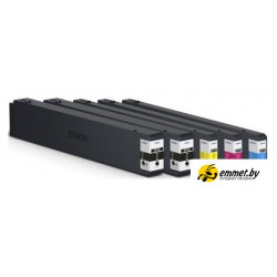 Картридж Epson C13T02Y300