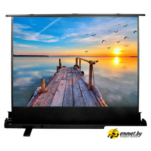 Проекционный экран CACTUS FloorExpert 113x200 CS-PSFLE-200X113