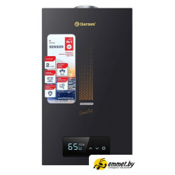 Газовая колонка Thermex S 20 MD (Art Black)