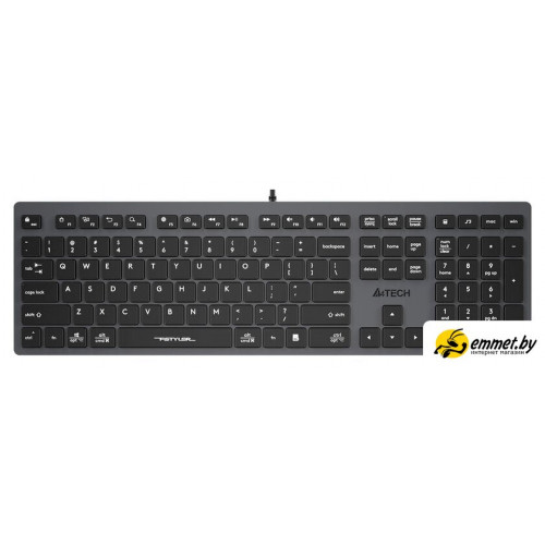 Клавиатура A4Tech Fstyler FX50 (серый)