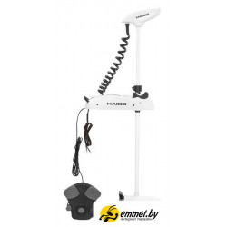 Лодочный мотор Haibo iPenguin P65 GPS