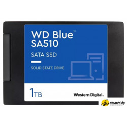 SSD WD Blue SA510 1TB WDS100T3B0A