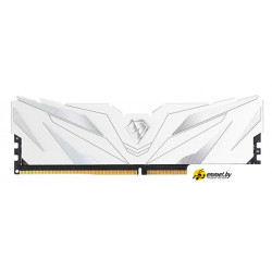 Оперативная память Netac Shadow II White 16ГБ DDR5 4800 МГц NTSWD5P48SP-16W