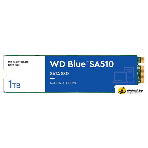 SSD WD Blue 1TB WDS100T3B0B