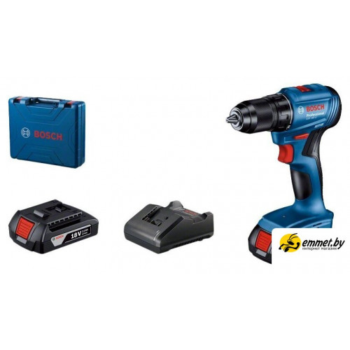 Дрель-шуруповерт Bosch GSR 185-LI Professional 06019K3000 (с 2-мя АКБ, кейс)