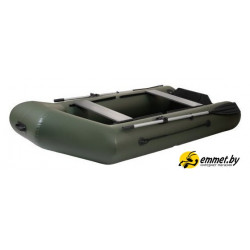 Моторная лодка Tulin К-280 (зеленый)
