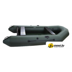 Моторная лодка Tulin ДМ-310 (зеленый)