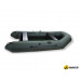 Моторная лодка Tulin ДМ-310 (зеленый)