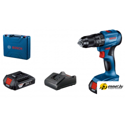 Ударная дрель-шуруповерт Bosch GSB 185-LI Professional 06019K3100 (с 2-мя АКБ, кейс)