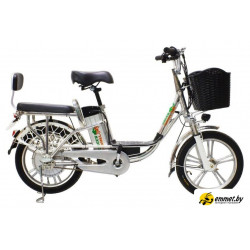 Электровелосипед GreenCamel Транк-18 V2 R18 (250W 60V 20Ah)