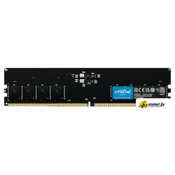 Оперативная память Crucial 32ГБ DDR5 5600 МГц CT32G56C46U5