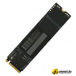 SSD Digma Meta M6 1TB DGSM4001TM63T