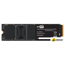 SSD PC Pet 4TB PCPS004T3