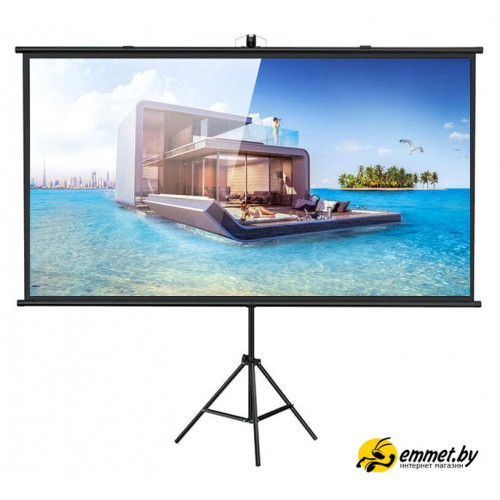 Проекционный экран Future Vision Tripod Cinema 220 T220HMW