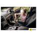 Пылесос Karcher WD 2 Plus S V-15/4/18 1.628-050.0