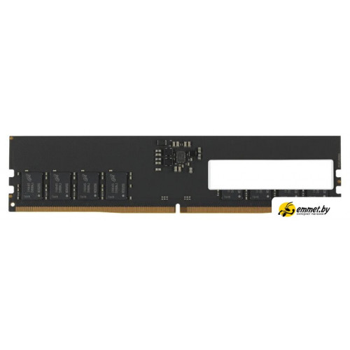 Оперативная память KingSpec 8ГБ DDR5 4800 МГц KS4800D5P11008G