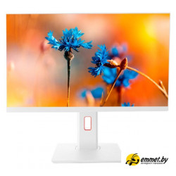 Моноблок ТЕСЛА P24WP 2116500