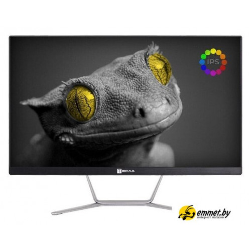 Моноблок ТЕСЛА Z24B 2108500