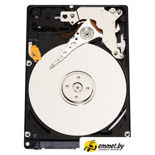 Жесткий диск Infortrend HELT72S3T10-0030G 10TB