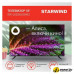 Телевизор StarWind SW-LED55UG403