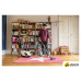 Пылесос Karcher DS 6 Plus 1.195-252.0