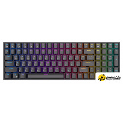 Клавиатура Royal Kludge RK100 RGB (черный, RK Red)