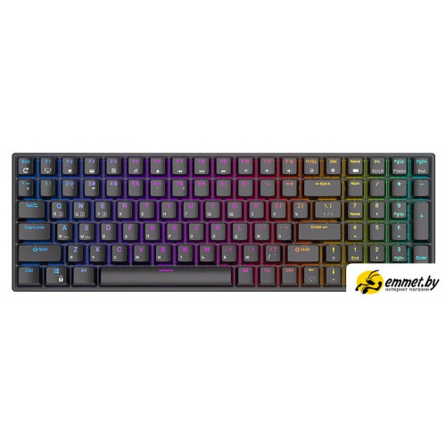 Клавиатура Royal Kludge RK100 RGB (черный, RK Red)
