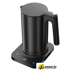 Электрический чайник Evolution KP22151L Thermocontrol
