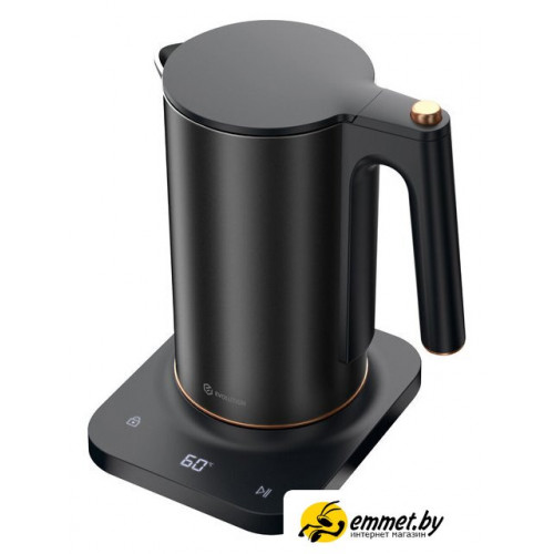 Электрический чайник Evolution KP22151L Thermocontrol