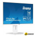 Монитор iiyama ProLite XUB2492HSU-W6