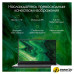 Ноутбук Digma Pro Fortis M DN17P3-8DXW03
