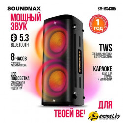Патибокс Soundmax SM-MS4305
