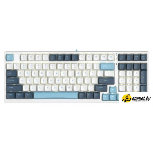 Клавиатура A4Tech Fstyler FS300 Panda Snowboarding
