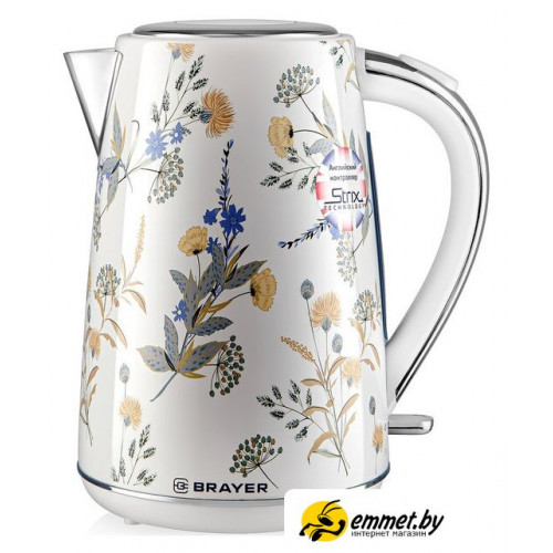 Электрический чайник Brayer BR1083