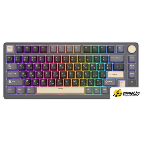 Клавиатура Royal Kludge RK-M75 RGB Phantom (RK Silver)