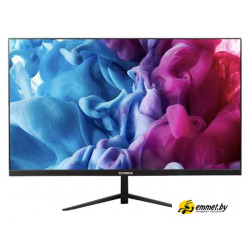 Монитор IRBIS ViewWorld 24FIDS010