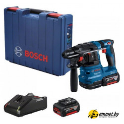Перфоратор Bosch GBH 185-LI Professional 0611924021 (с 2-мя АКБ, кейс)