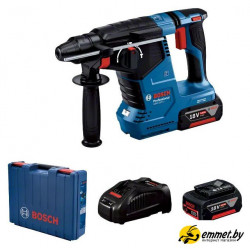 Перфоратор Bosch GBH 187-LI Professional 0611923021 (с 2-мя АКБ, кейс)
